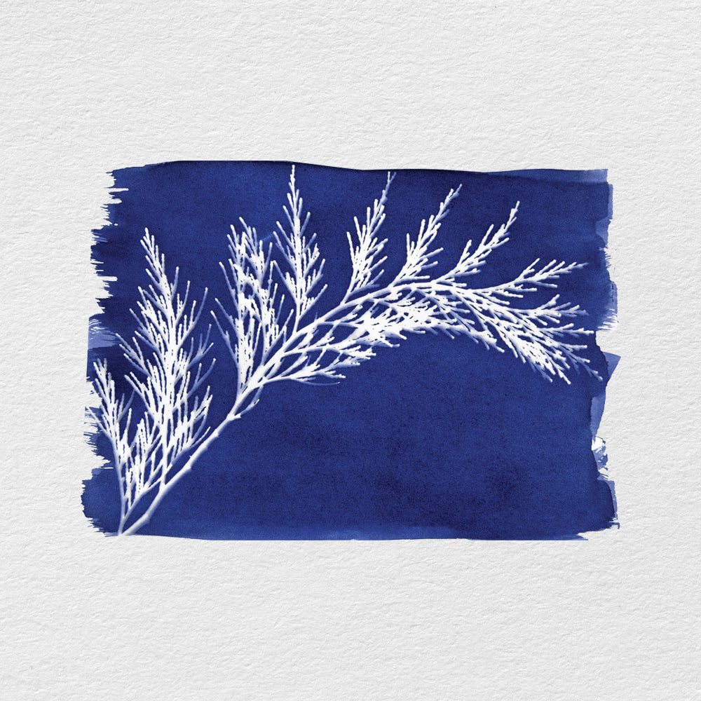 Priemonės saulės atspaudams – cianotipijai