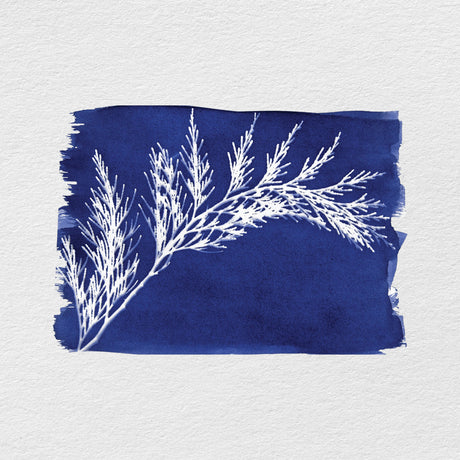 Priemonės saulės atspaudams – cianotipijai