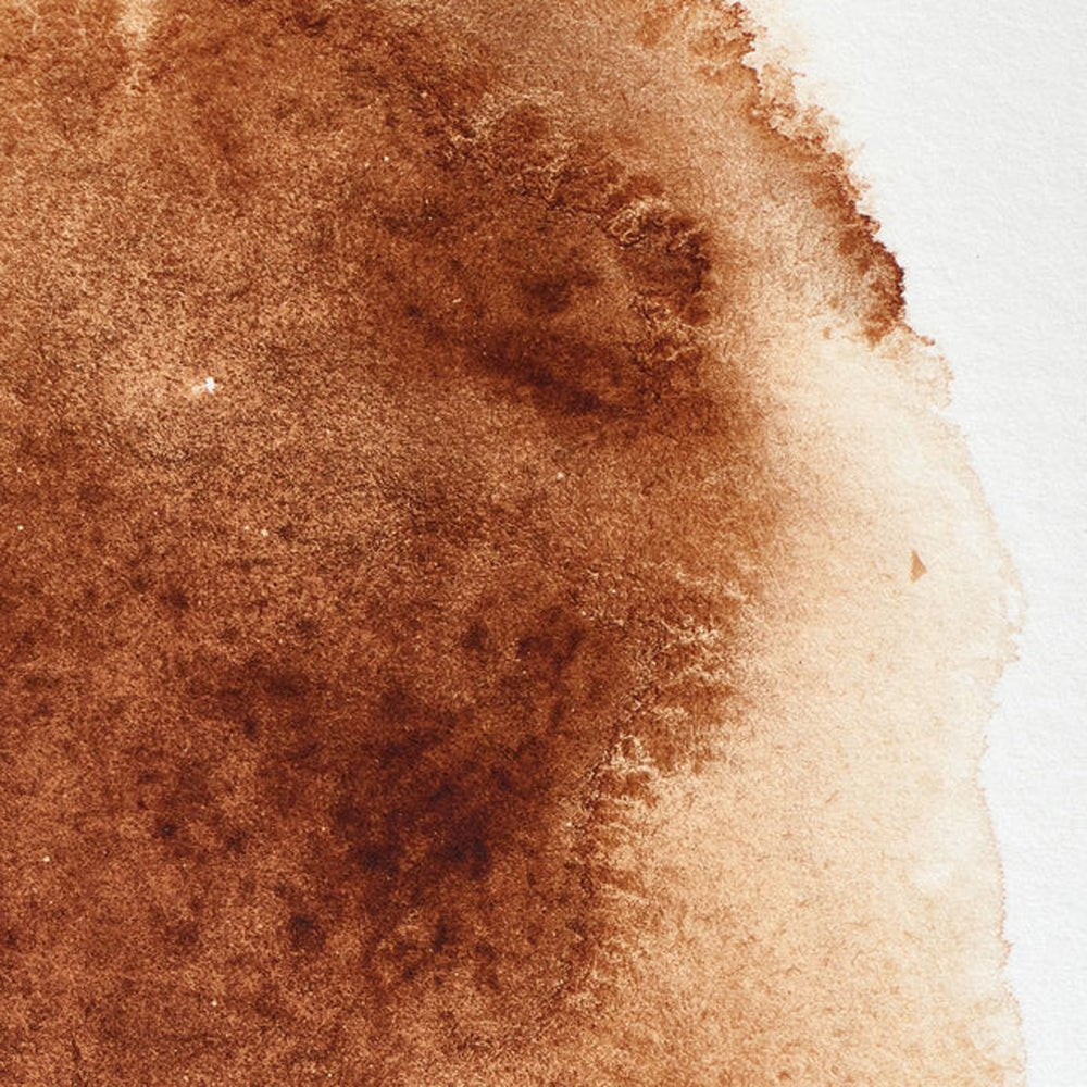 Winsor & Newton Professional akvarelės kubeliai