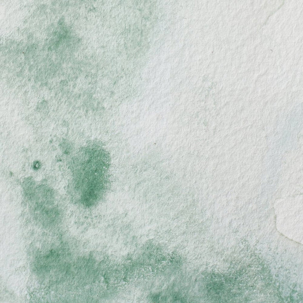 Winsor & Newton Professional akvarelės kubeliai