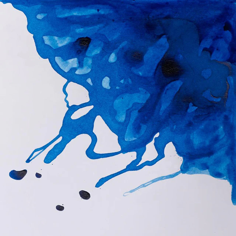 Winsor & Newton piešimo tušas