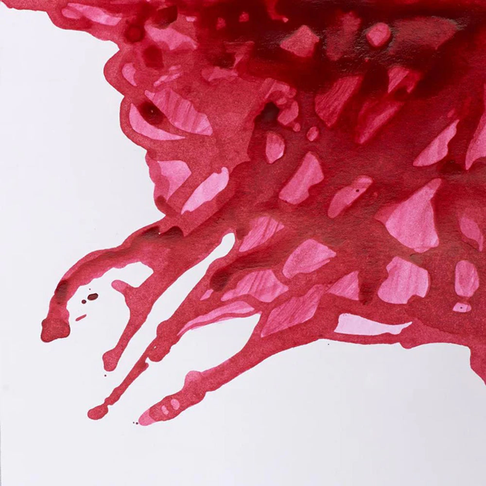 Winsor & Newton piešimo tušas