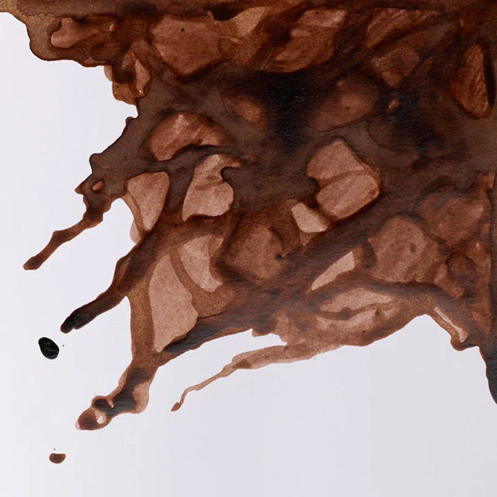 Winsor & Newton piešimo tušas
