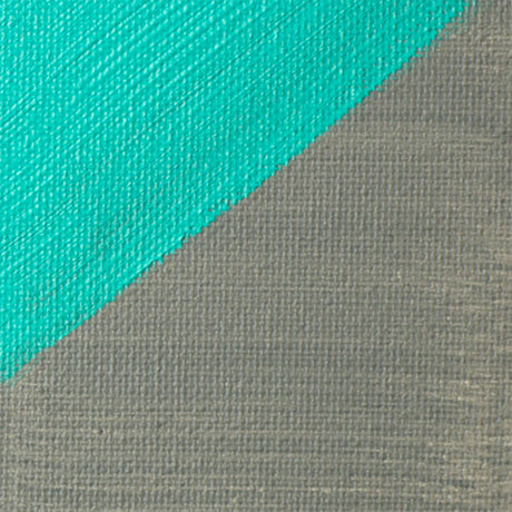 Liquitex Professional pilkas Gesso gruntas