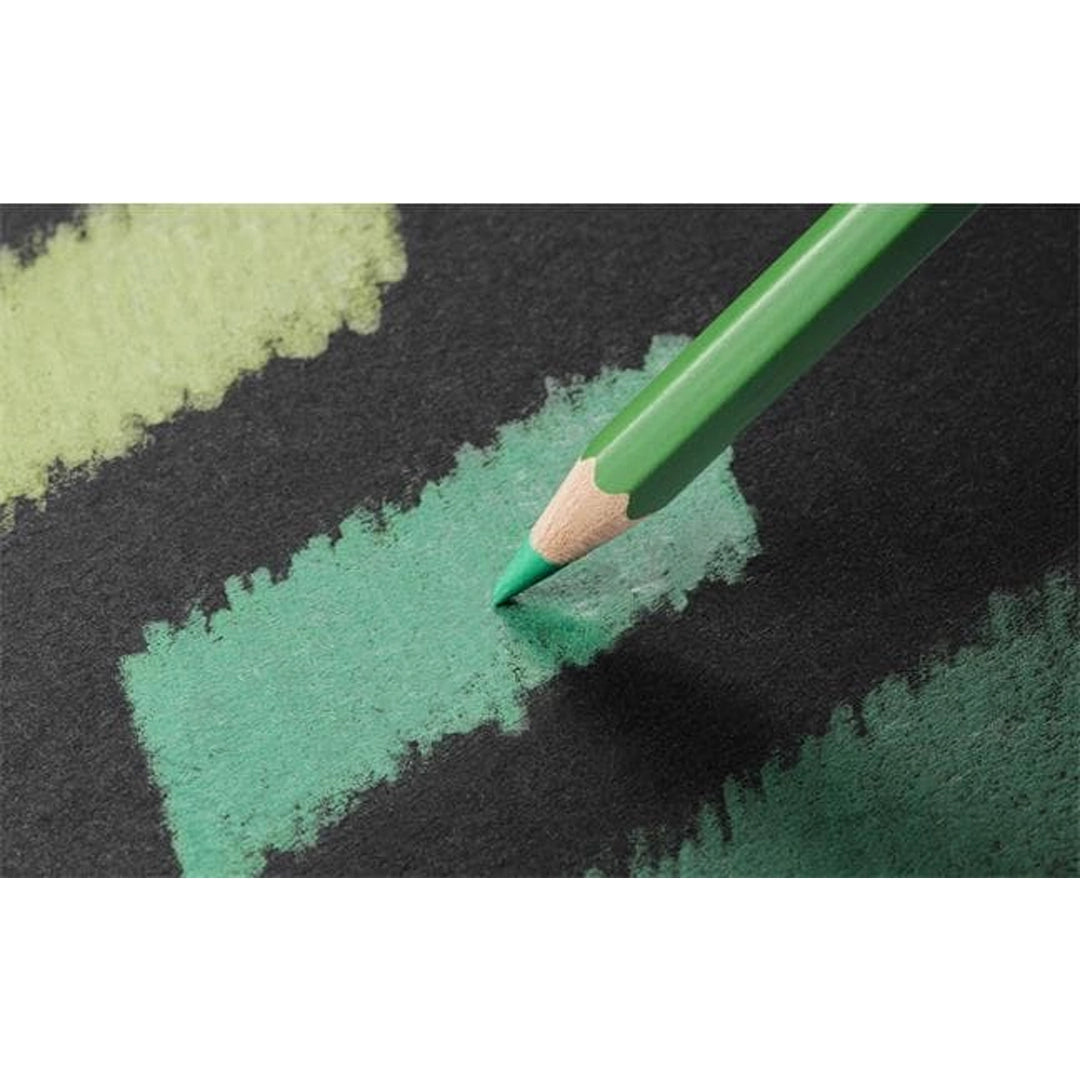 Caran d'Ache PABLO spalvotų pieštukų rinkinys, 40 vnt.