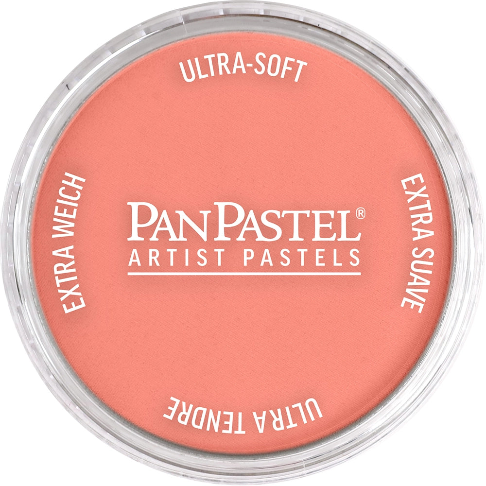 PanPastel Artist pastelės indelyje