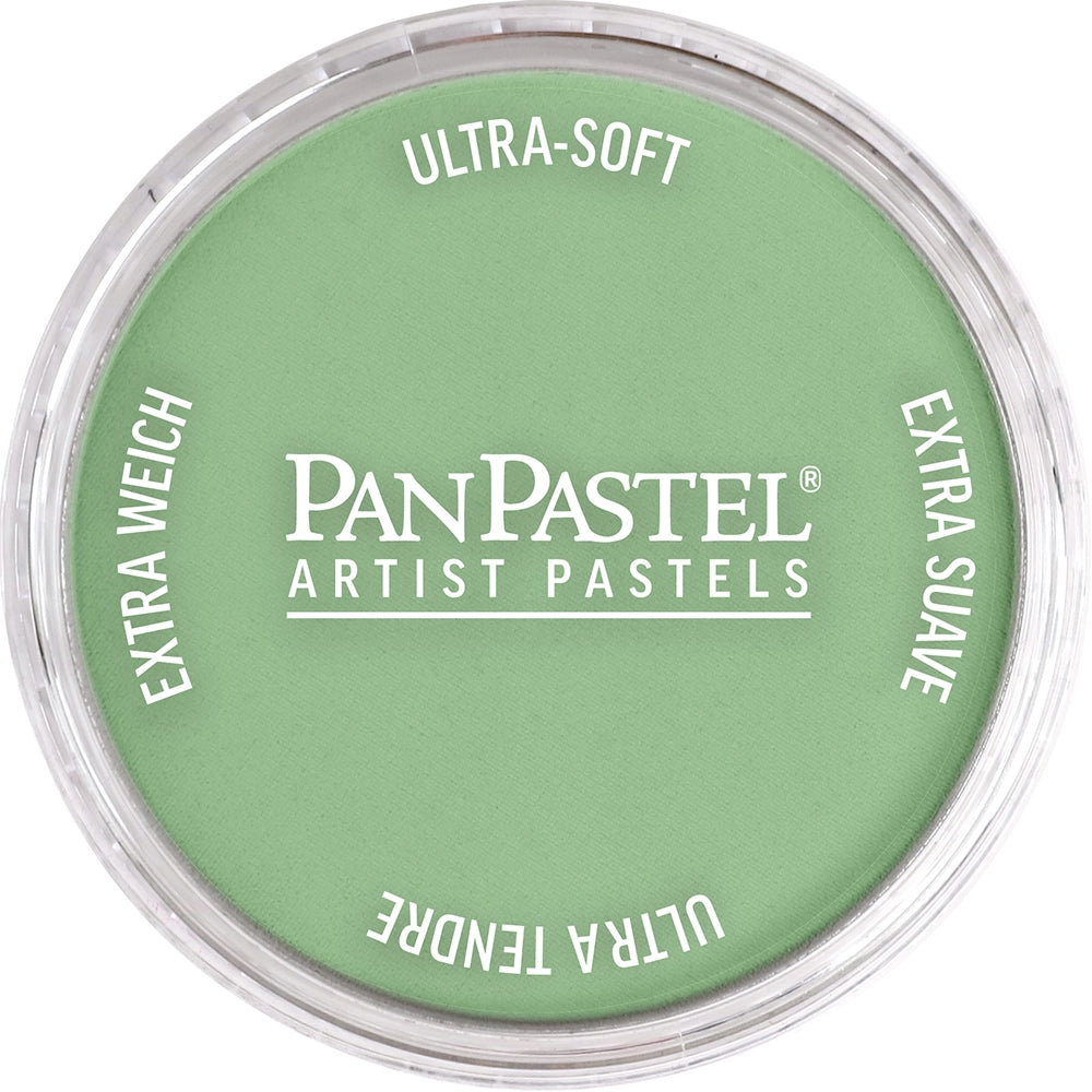 PanPastel Artist pastelės indelyje