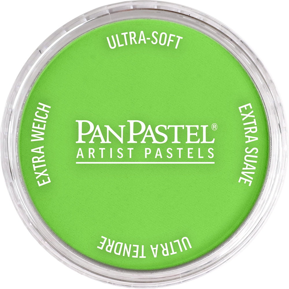 PanPastel Artist pastelės indelyje