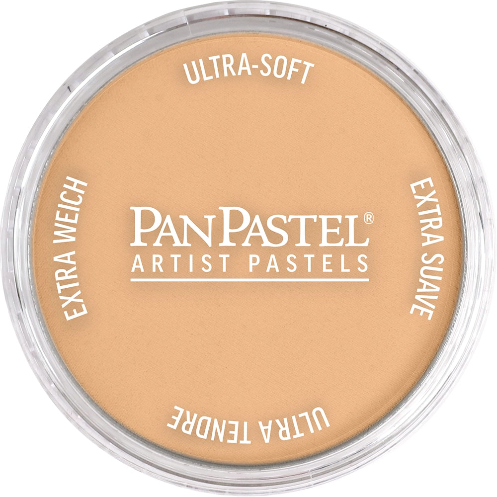 PanPastel Artist pastelės indelyje