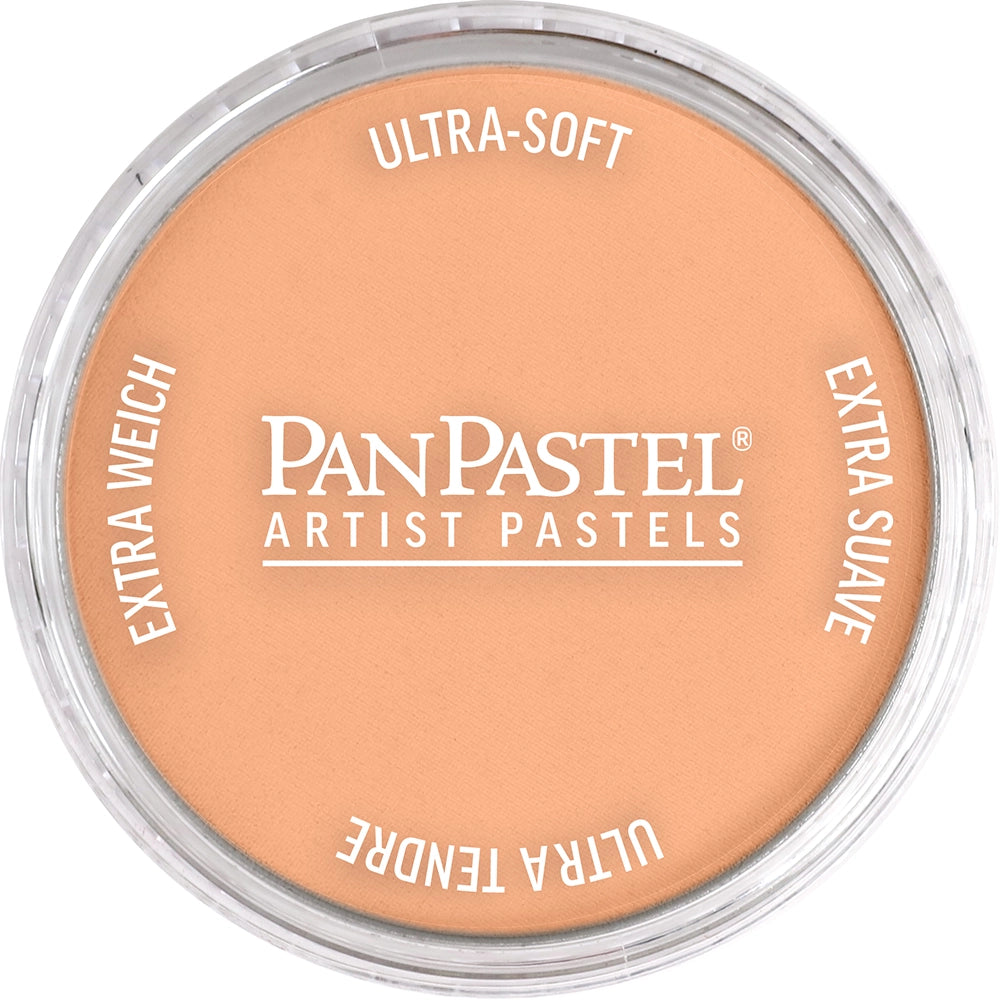 PanPastel Artist pastelės indelyje