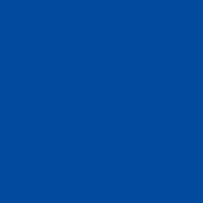 Holbein Artists’ guašas tūbelėse