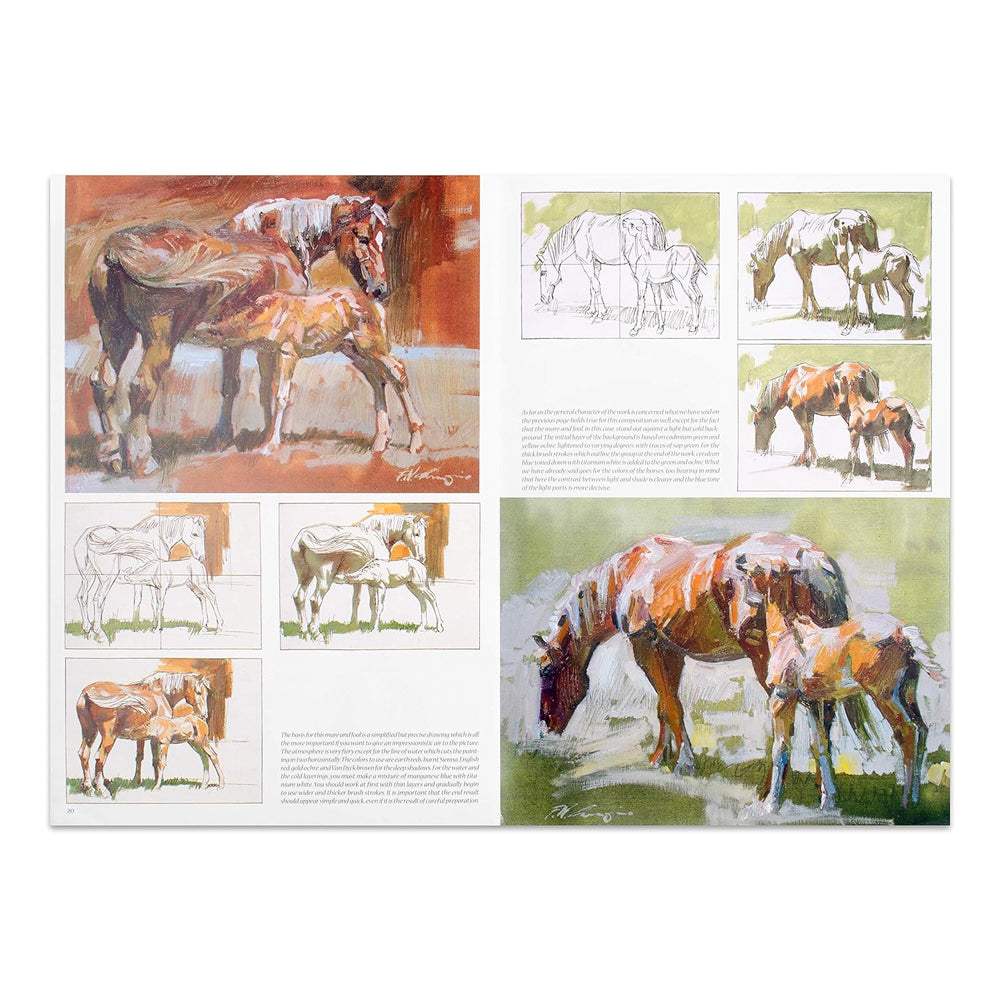 Leonardo Collection mokomoji knyga - Žirgai