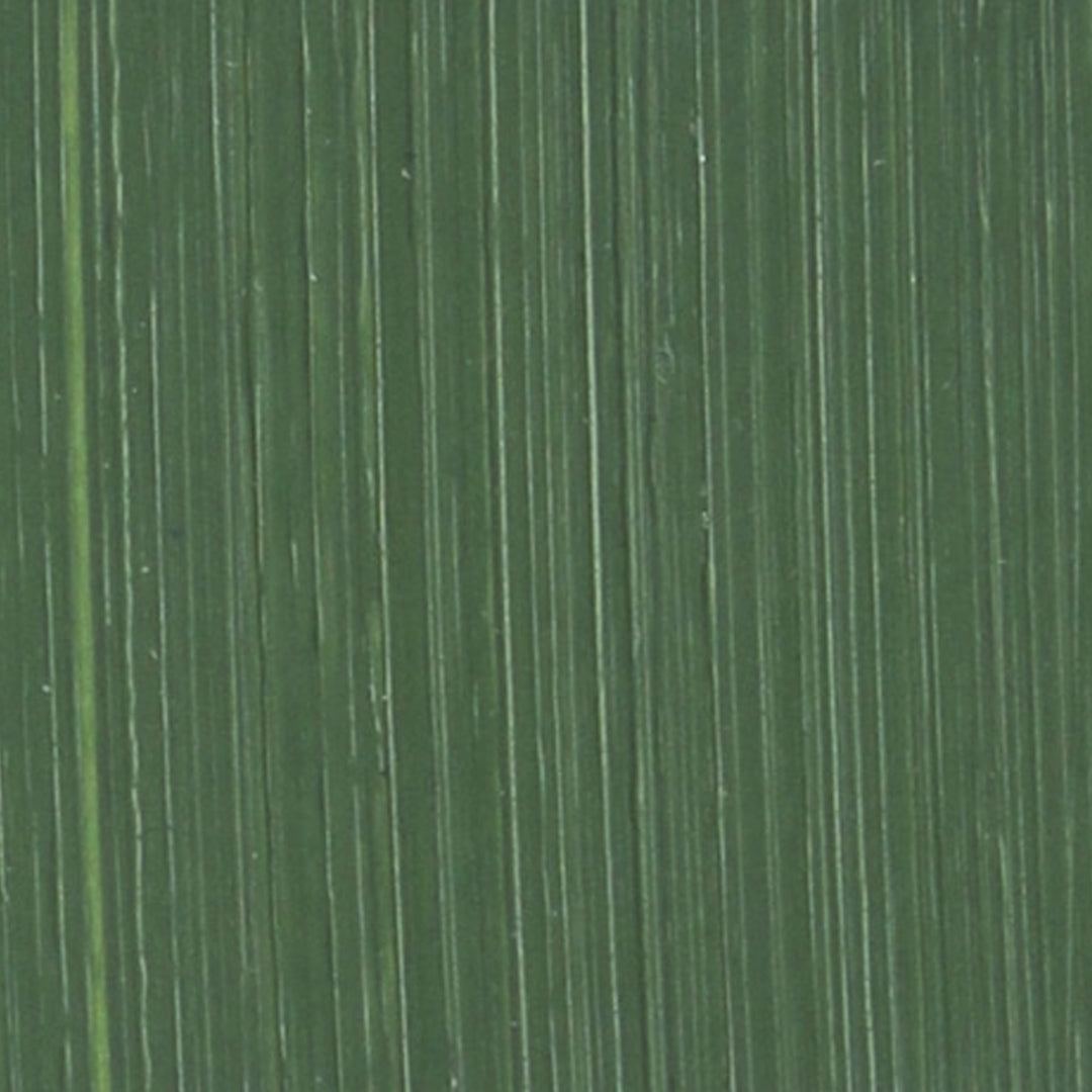 Michael Harding Oil Paint, Colours 1-62 (Part 1/2)