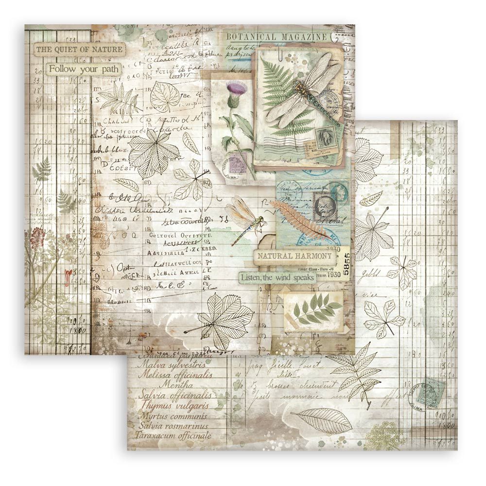 Stamperia Double-Sided Scrapbooking Paper Set - Herbarium Silvae, 10 units