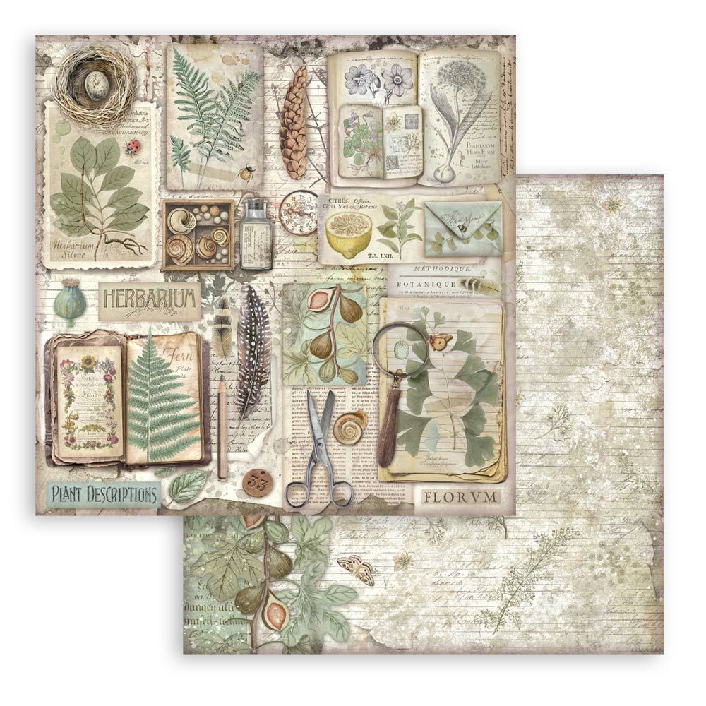 Stamperia Double-Sided Scrapbooking Paper Set - Herbarium Silvae, 10 units