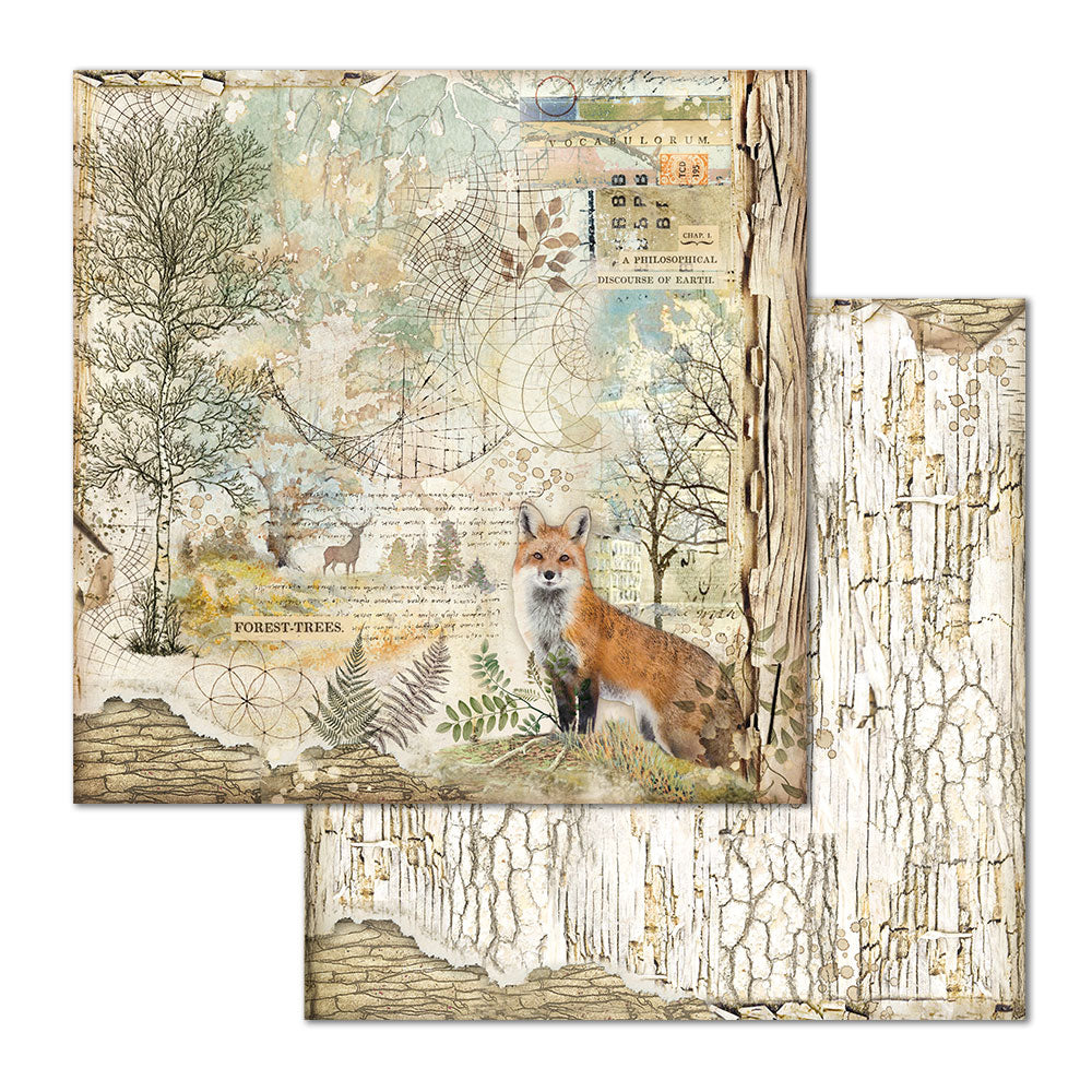 Stamperia Double-Sided Scrapbooking Paper Set - Forest, 10 units