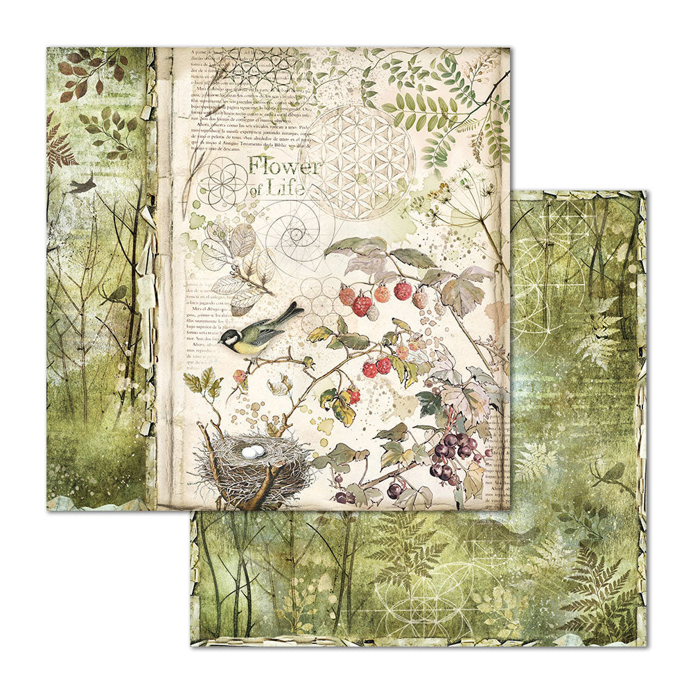 Stamperia Double-Sided Scrapbooking Paper Set - Forest, 10 units