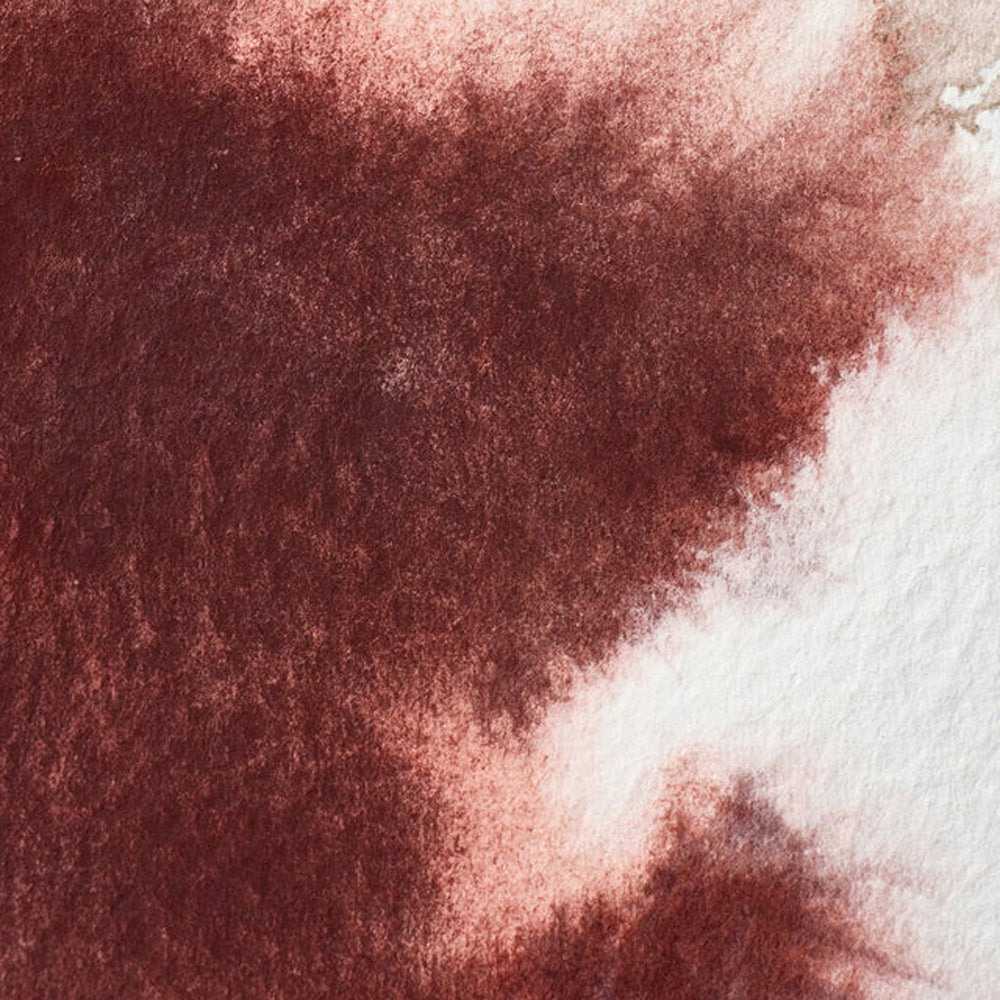 Winsor & Newton Professional akvarelės kubeliai