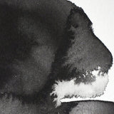 Winsor & Newton Professional akvarelės kubeliai