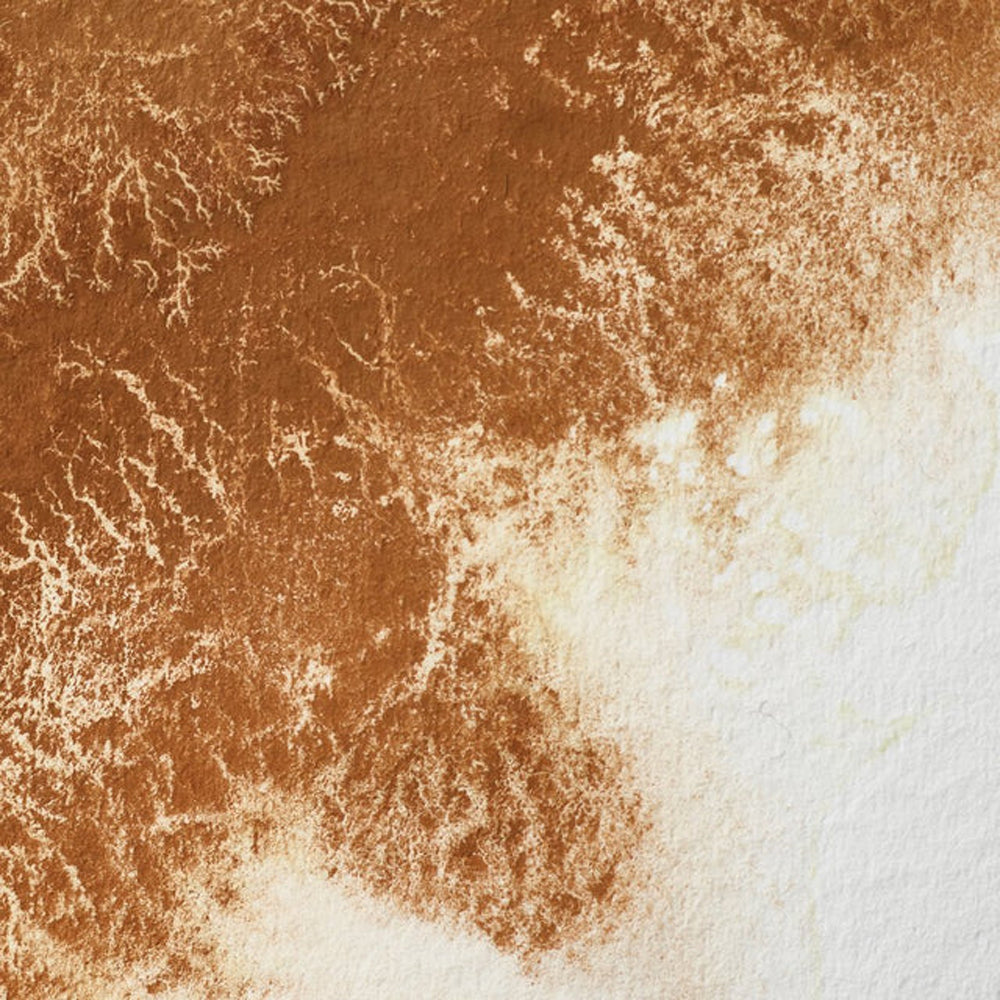 Winsor & Newton Professional akvarelės kubeliai