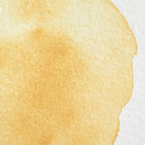 Winsor & Newton Professional akvarelės kubeliai