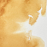 Winsor & Newton Professional akvarelės kubeliai