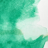 Winsor & Newton Professional akvarelės kubeliai