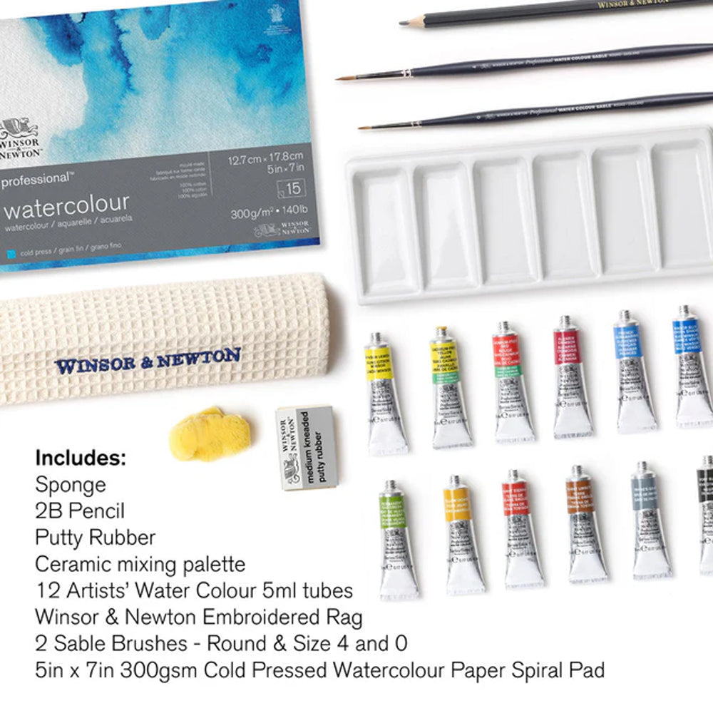 Winsor & Newton Professional Watercolour Introduction Travel Case Set