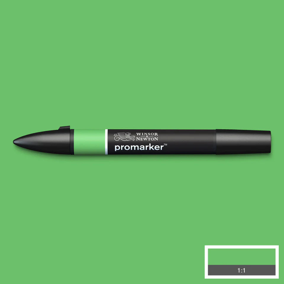 Winsor & Newton Promarker grafinis markeris, spalvos 1-93 (1/2 dalis)