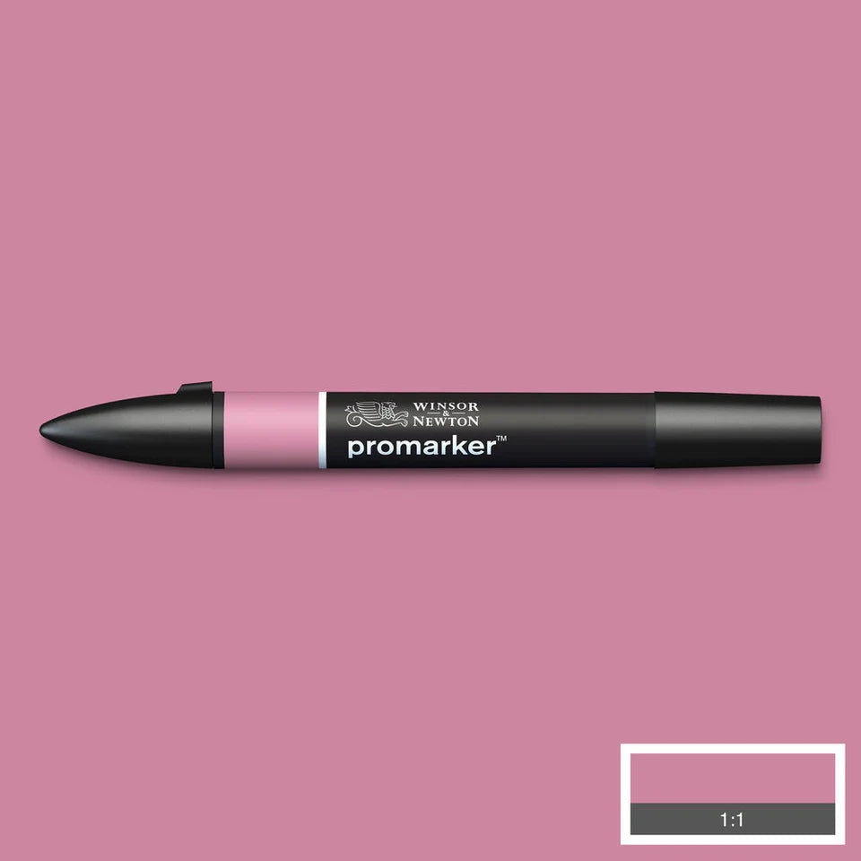 Winsor & Newton Promarker grafinis markeris, spalvos 1-93 (1/2 dalis)