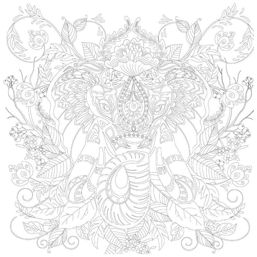 Phoenix spalvinimo lentelės Garden, 25x25 cm