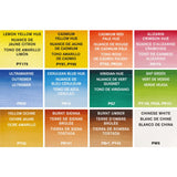 Winsor & Newton Cotman kišeninis akvarelės rinkinys Sketchers', 12 spalvų, Half-Pan