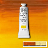 Winsor & Newton Artists' aliejiniai dažai