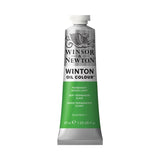 Winsor & Newton Winton aliejiniai dažai