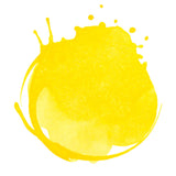 Liquitex Professional Acrylic Ink