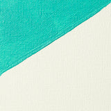 Liquitex Professional Gesso gruntas