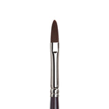 Winsor & Newton Galeria Filbert Brush