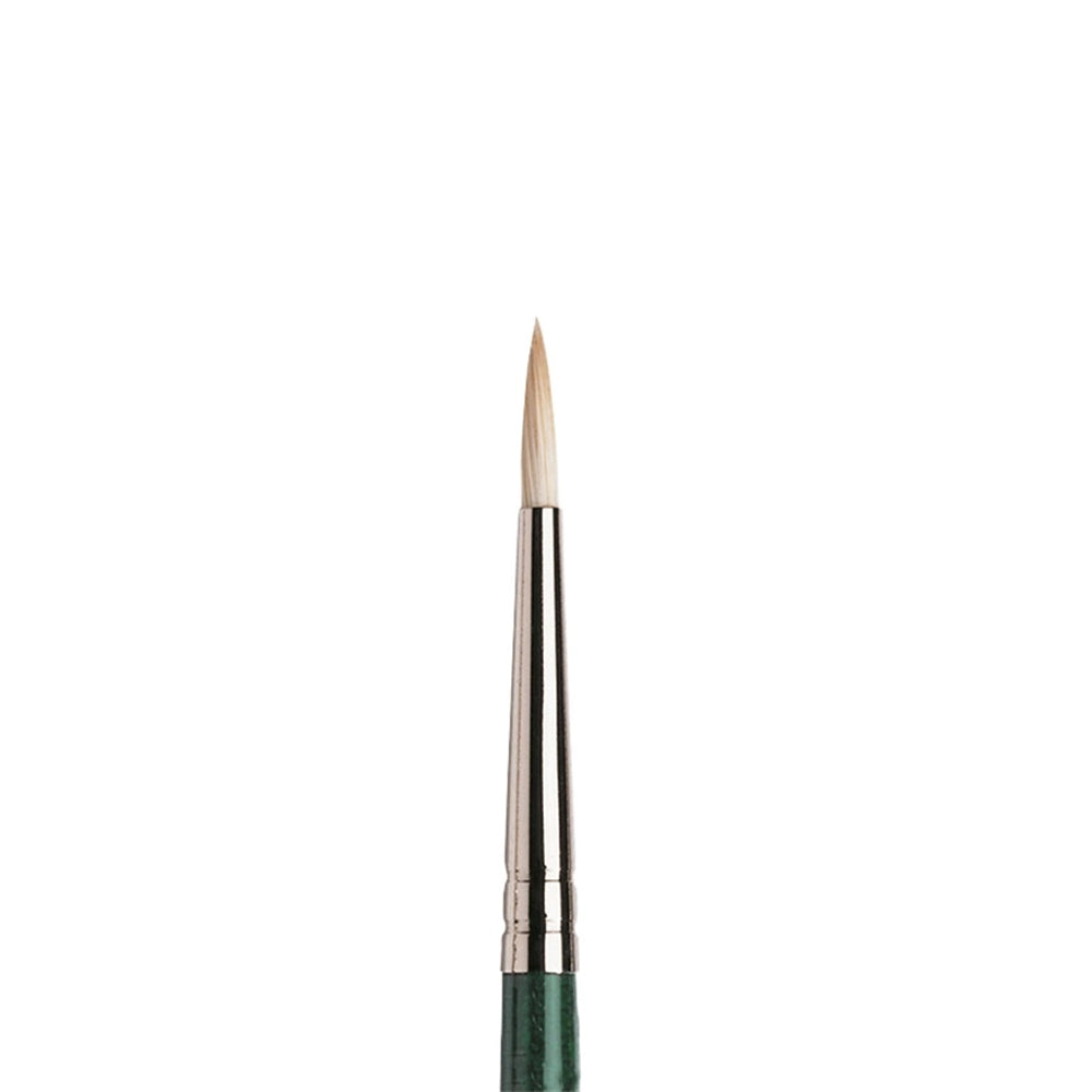 Winsor & Newton Winton Hog Round Brush