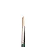 Winsor & Newton Winton Hog Round Brush