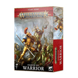 Warhammer Age of Sigmar: Warrior Starter Set