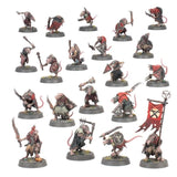 Warhammer Age of Sigmar: Introductory Set