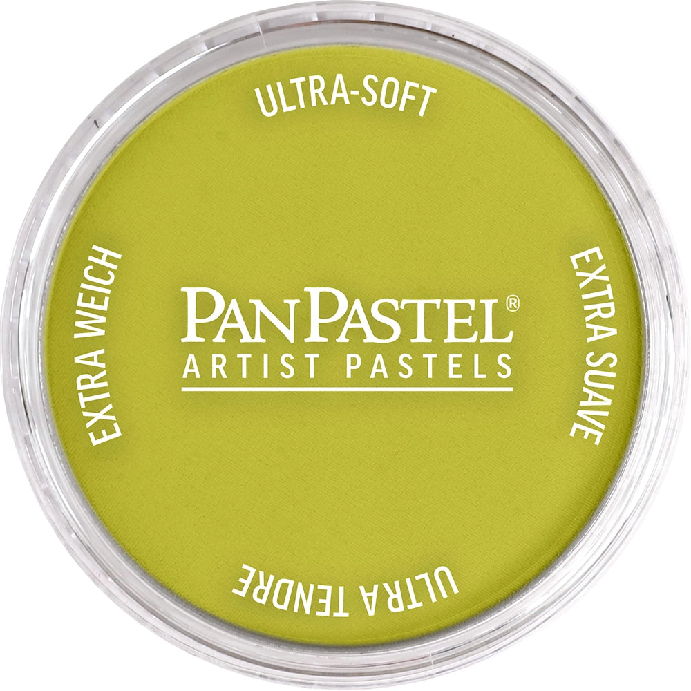 PanPastel Artist pastelės indelyje