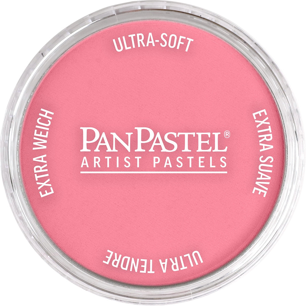 PanPastel Artist pastelės indelyje