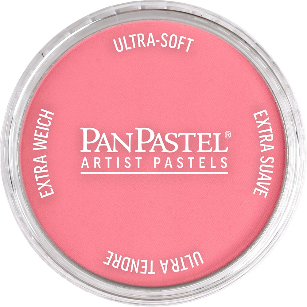 PanPastel Artist pastelės indelyje