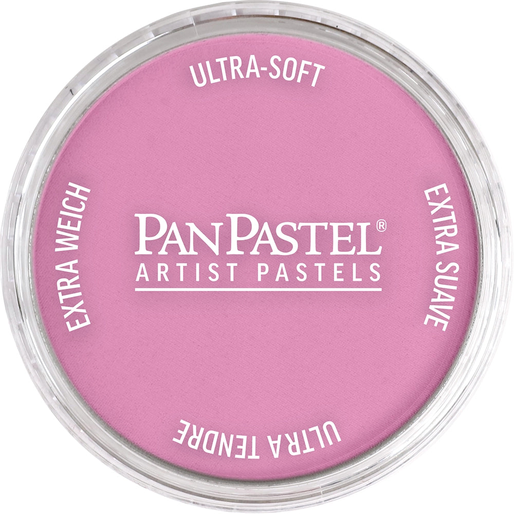 PanPastel Artist pastelės indelyje