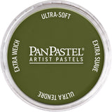 PanPastel Artist pastelės indelyje