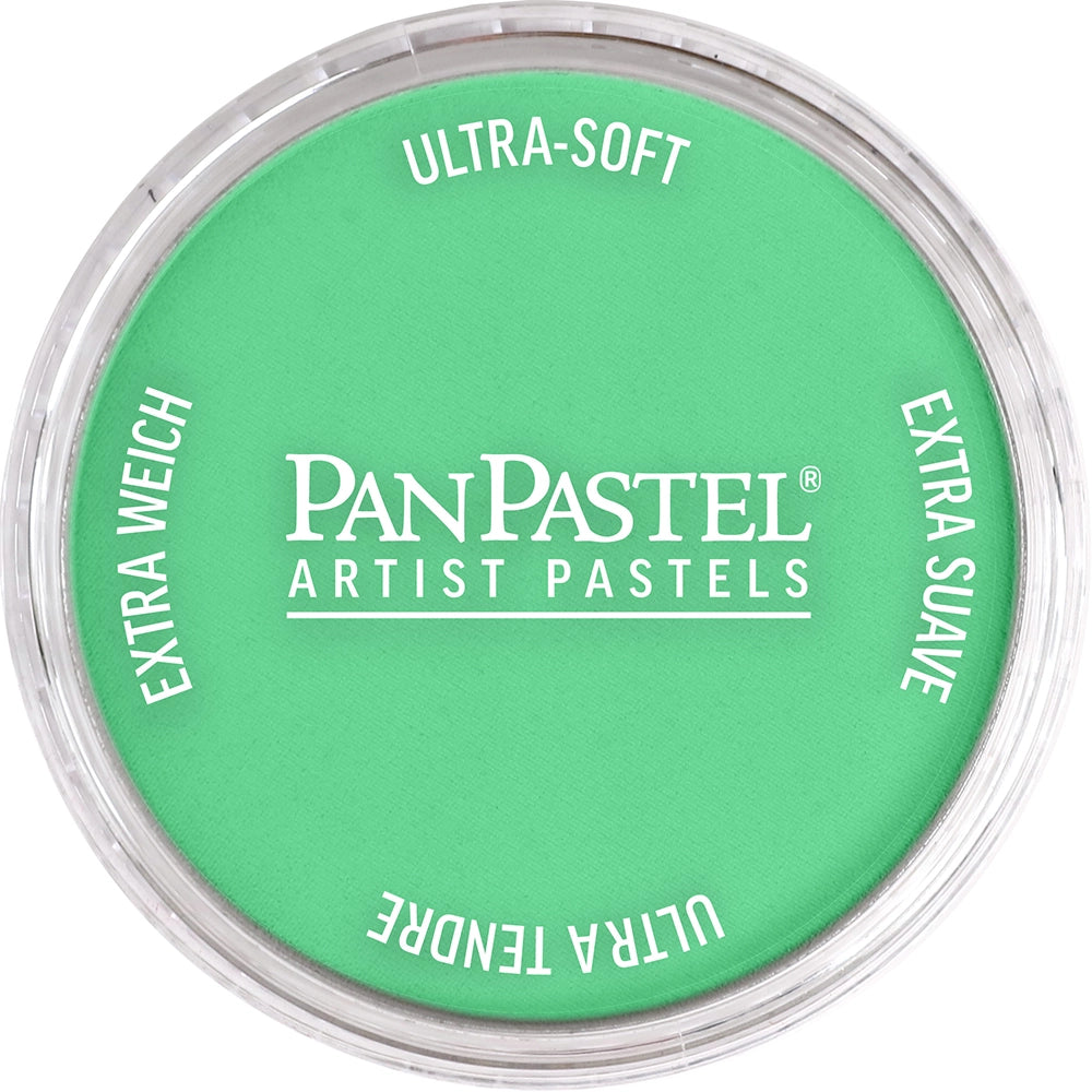 PanPastel Artist pastelės indelyje
