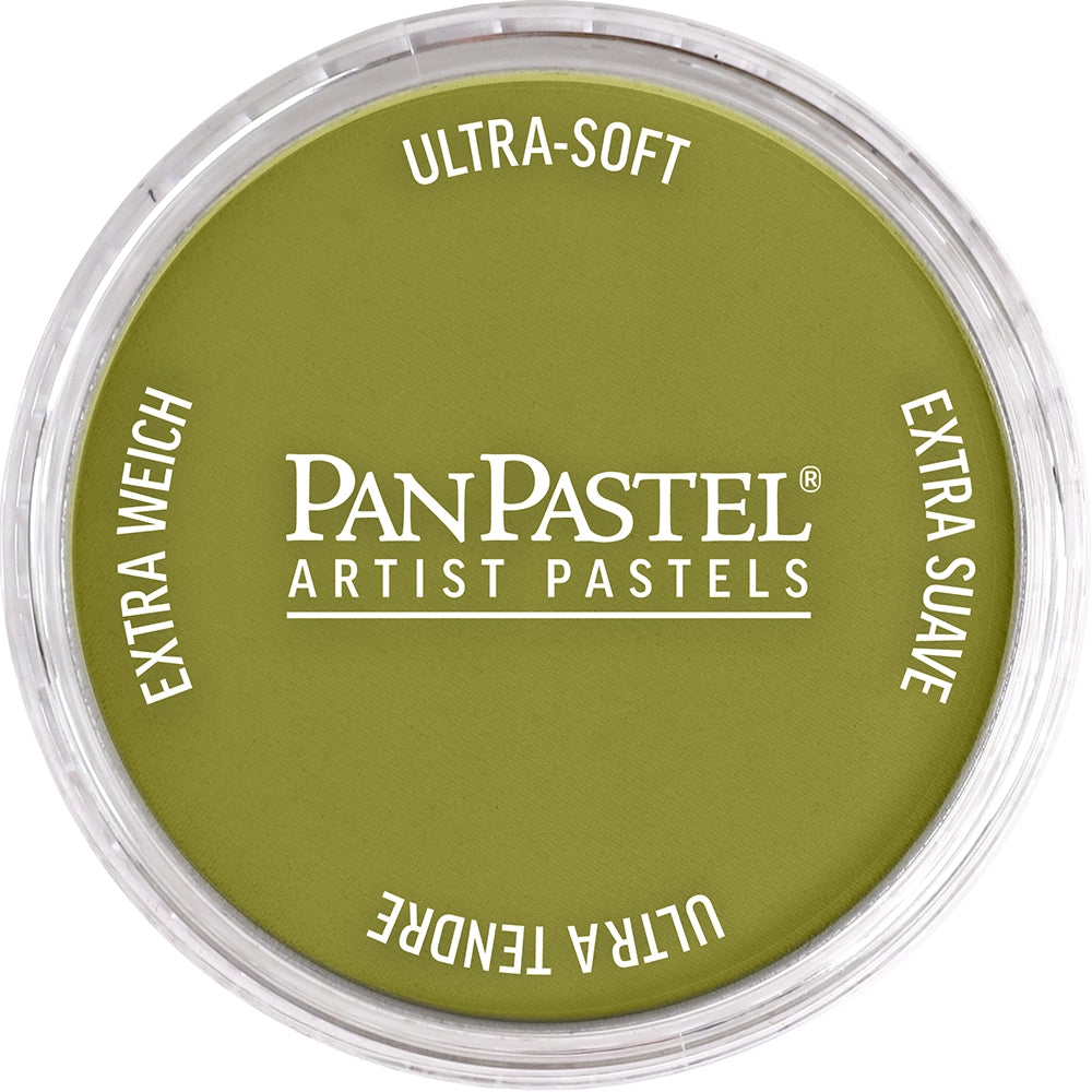 PanPastel Artist pastelės indelyje