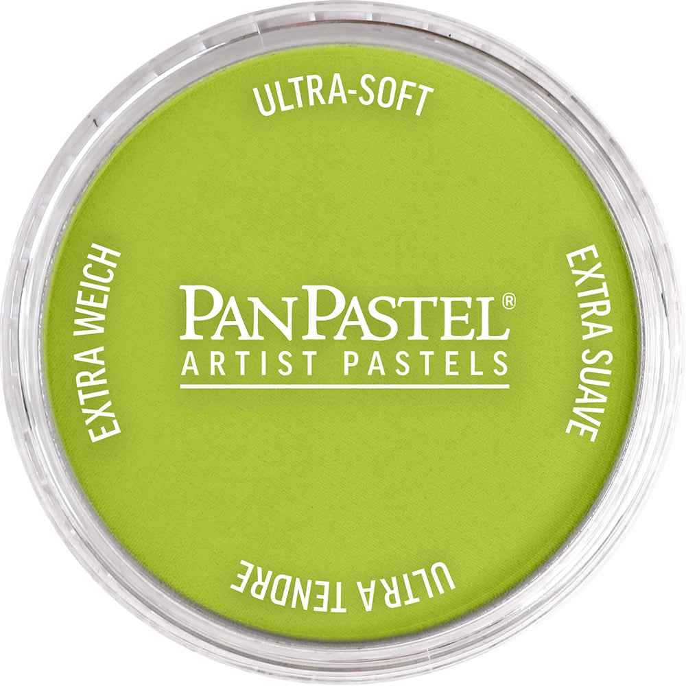 PanPastel Artist pastelės indelyje