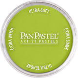 PanPastel Artist pastelės indelyje